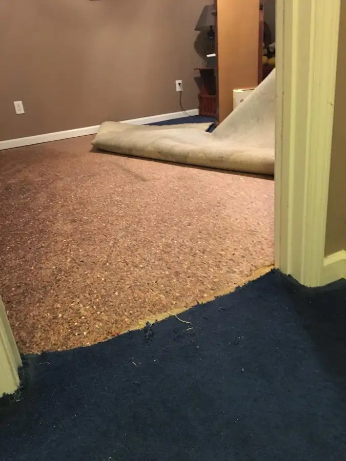 Carpet pad removal revealing water damage during Drying & Dehumidification in Manistee