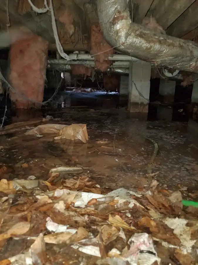 Crawl space flood assessment for Leak Detection & Repair in Manistee