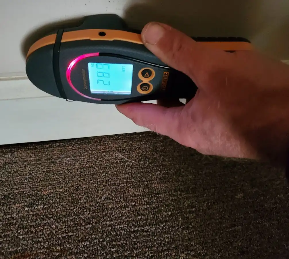 Moisture detection at baseboard during Storm Damage Restoration in Manistee